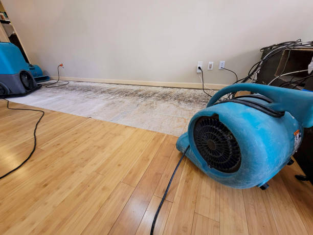 Professional Flood Damage Cleanup technician working in Cairo, IL